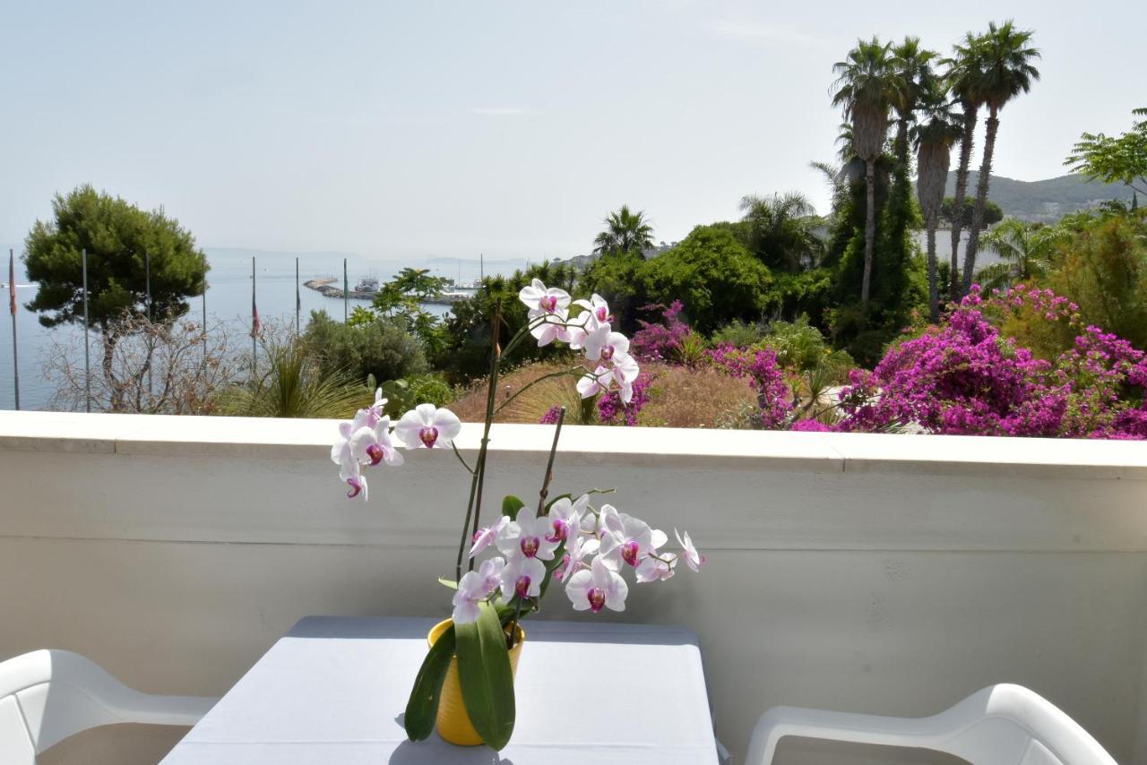 Hotel L'Approdo كازاميتْشيولا تيرمي المظهر الخارجي الصورة